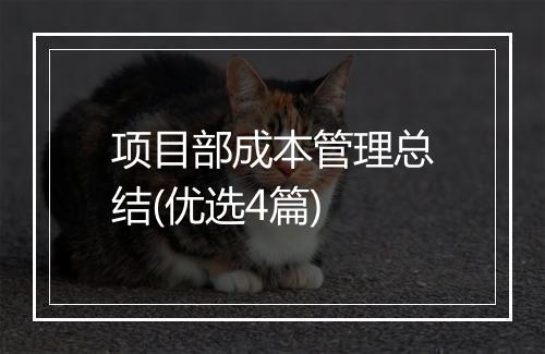 项目部成本管理总结(优选4篇)