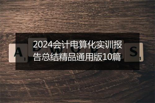 2024会计电算化实训报告总结精品通用版10篇