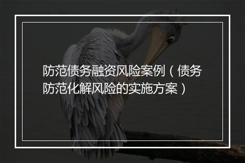 防范债务融资风险案例（债务防范化解风险的实施方案）
