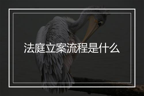 法庭立案流程是什么