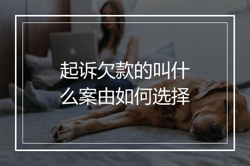 起诉欠款的叫什么案由如何选择