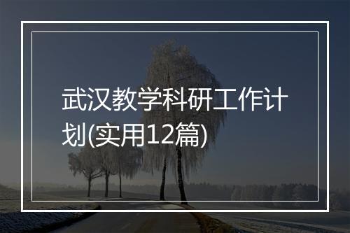 武汉教学科研工作计划(实用12篇)