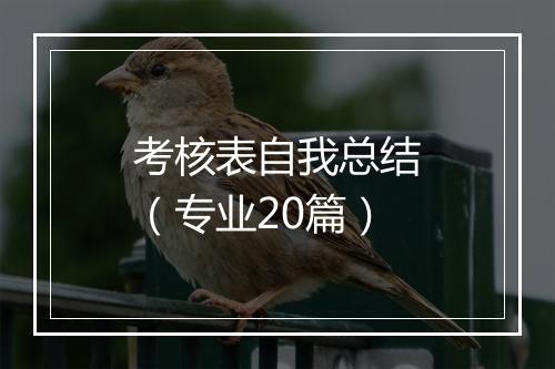 考核表自我总结（专业20篇）