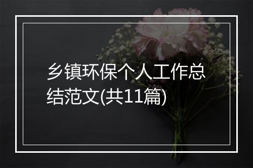 乡镇环保个人工作总结范文(共11篇)