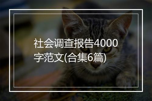 社会调查报告4000字范文(合集6篇)