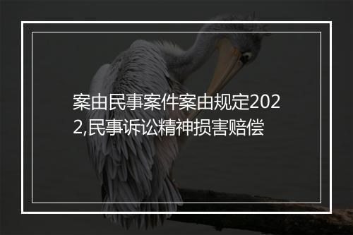 案由民事案件案由规定2022,民事诉讼精神损害赔偿