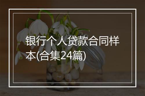 银行个人贷款合同样本(合集24篇)
