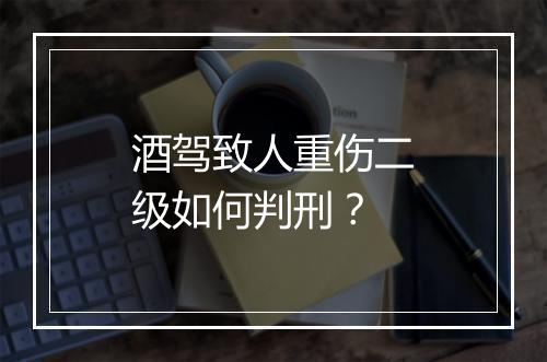 酒驾致人重伤二级如何判刑？