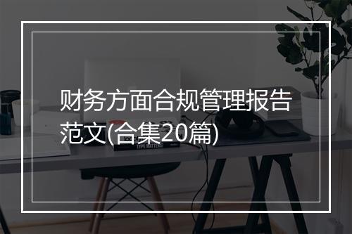 财务方面合规管理报告范文(合集20篇)