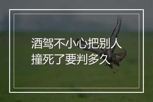 酒驾不小心把别人撞死了要判多久