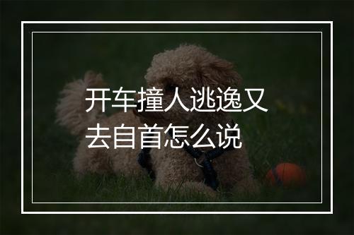 开车撞人逃逸又去自首怎么说