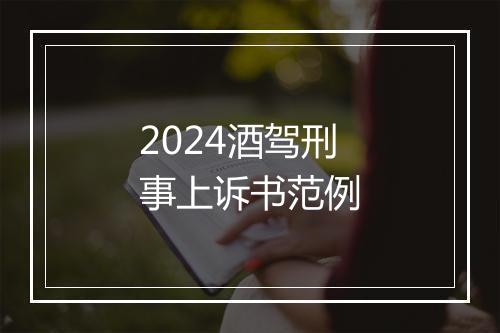 2024酒驾刑事上诉书范例