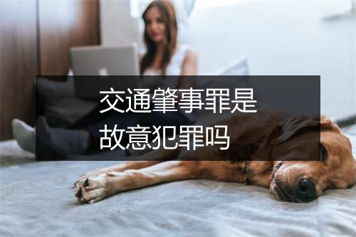 交通肇事罪是故意犯罪吗