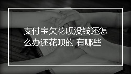 支付宝欠花呗没钱还怎么办还花呗的 有哪些