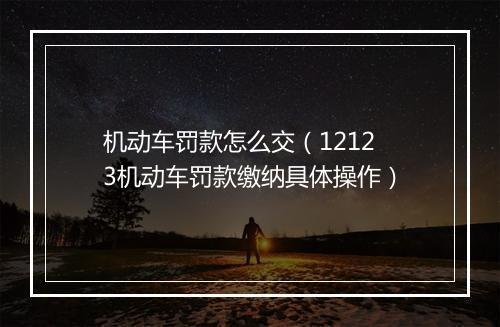 机动车罚款怎么交（12123机动车罚款缴纳具体操作）