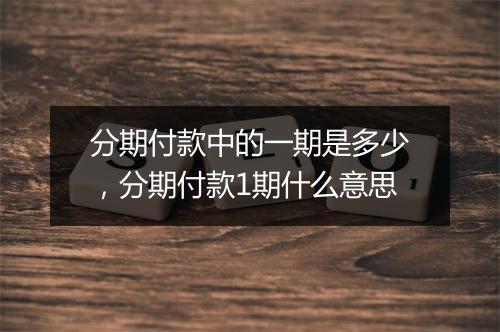 分期付款中的一期是多少，分期付款1期什么意思