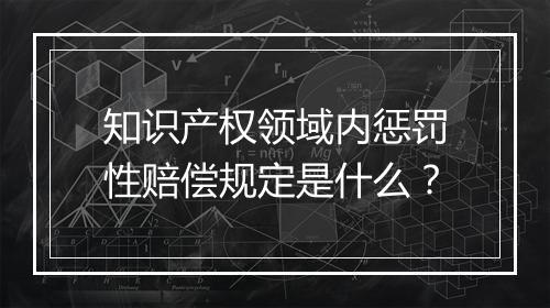 知识产权领域内惩罚性赔偿规定是什么？