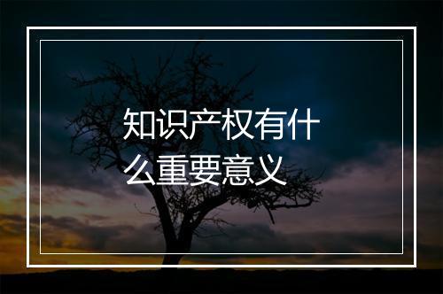 知识产权有什么重要意义