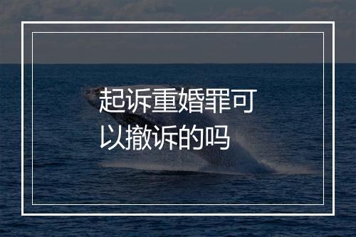 起诉重婚罪可以撤诉的吗