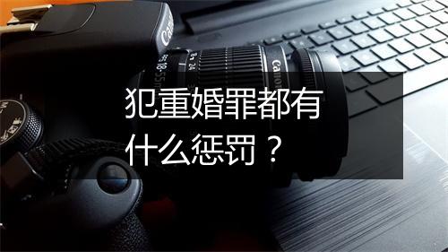 犯重婚罪都有什么惩罚？