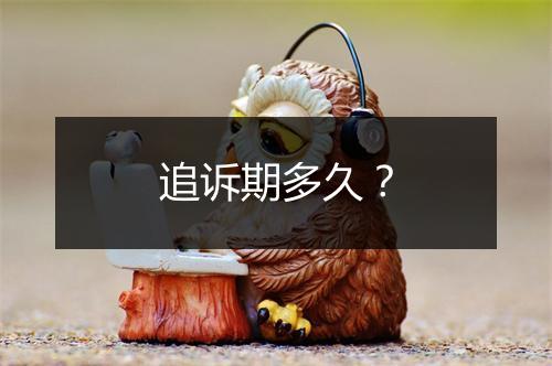 追诉期多久？
