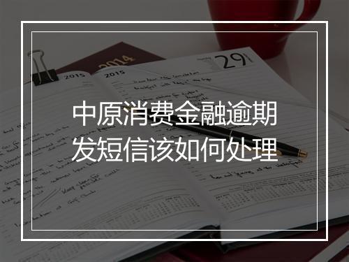 中原消费金融逾期发短信该如何处理