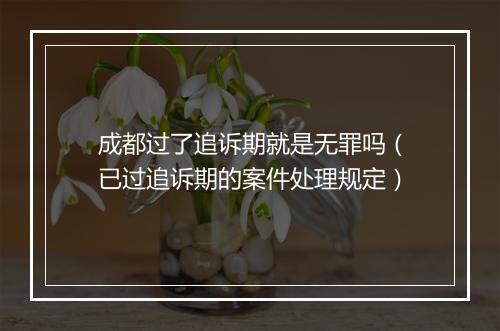 成都过了追诉期就是无罪吗（已过追诉期的案件处理规定）