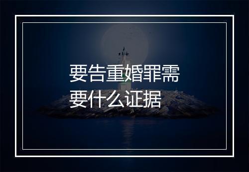 要告重婚罪需要什么证据
