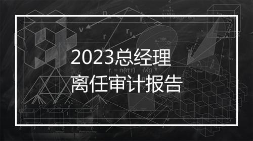 2023总经理离任审计报告