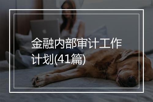 金融内部审计工作计划(41篇)