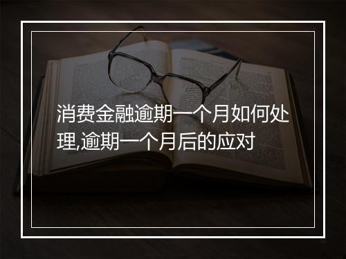 消费金融逾期一个月如何处理,逾期一个月后的应对