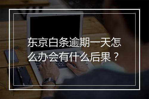 东京白条逾期一天怎么办会有什么后果？