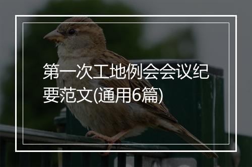 第一次工地例会会议纪要范文(通用6篇)