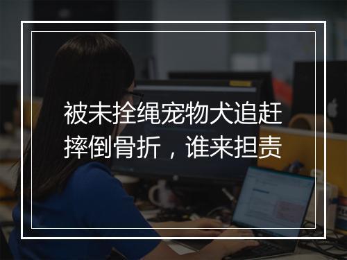 被未拴绳宠物犬追赶摔倒骨折，谁来担责