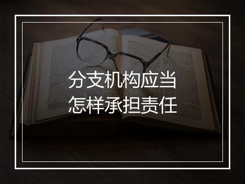 分支机构应当怎样承担责任