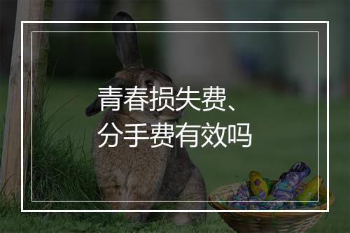青春损失费、分手费有效吗