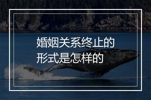 婚姻关系终止的形式是怎样的