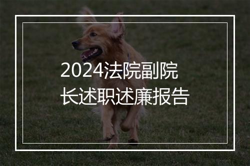 2024法院副院长述职述廉报告