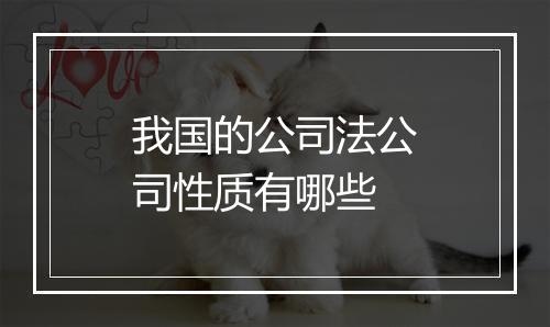 我国的公司法公司性质有哪些
