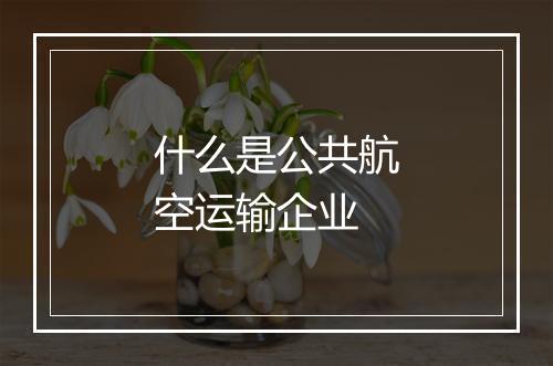 什么是公共航空运输企业