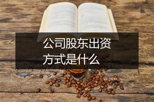 公司股东出资方式是什么