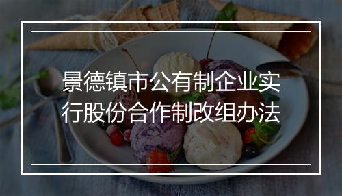 景德镇市公有制企业实行股份合作制改组办法
