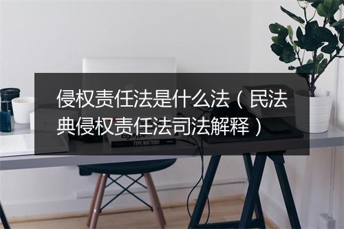 侵权责任法是什么法（民法典侵权责任法司法解释）