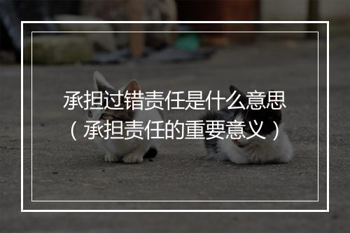 承担过错责任是什么意思（承担责任的重要意义）