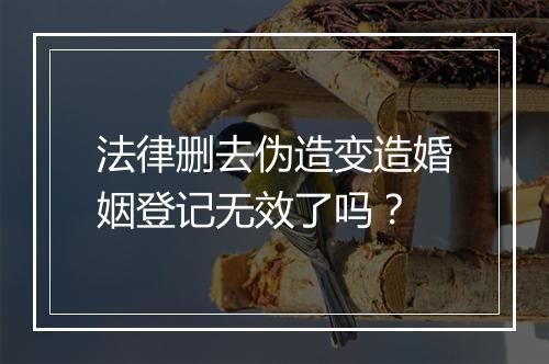 法律删去伪造变造婚姻登记无效了吗？