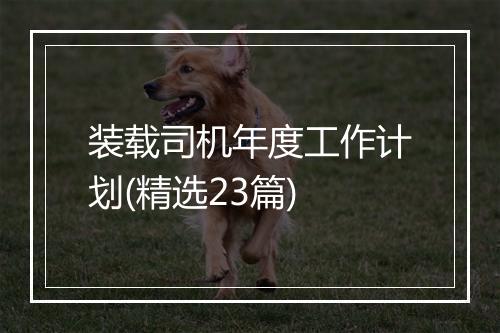 装载司机年度工作计划(精选23篇)