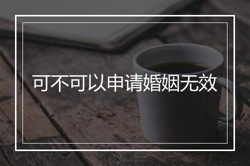 可不可以申请婚姻无效