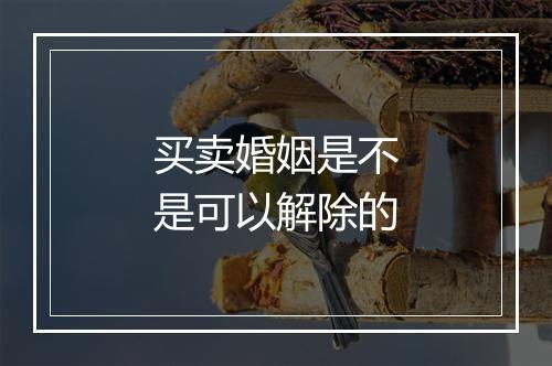 买卖婚姻是不是可以解除的