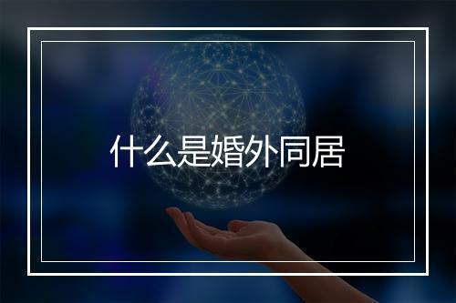 什么是婚外同居