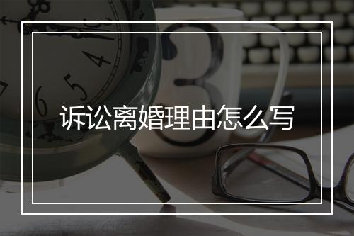 诉讼离婚理由怎么写